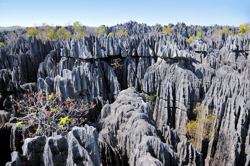 马达加斯加的Tsingy de Bemaraha